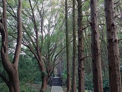 -同里国家湿地公园
