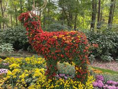 -上海共青森林公园