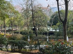 -三江森林温泉度假区