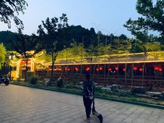 -长兴慧子土特产茶行