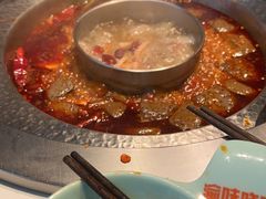 -晓宇重庆火锅(赛格国际购物中心店)
