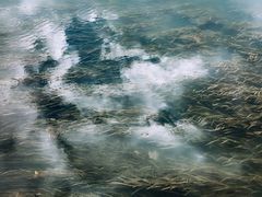 -贵阳市花溪国家城市湿地公园