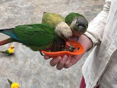 -昆明动物园
