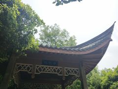 -菊花台公园