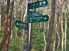 -紫金山山顶公园