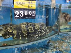 -渔中舟海鲜大排档(普陀沈家门店)