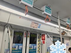 -红树湾(地铁站)