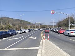 -上海佘山国家森林公园天马山园