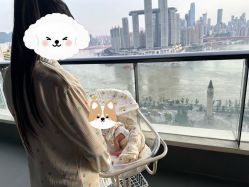 -爱瑞馨母婴护理中心(喜马拉雅店)