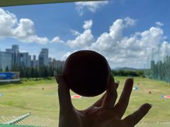 -棕榈泉国际高尔夫学院