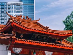 -宝岛公园