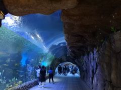 -华夏文旅海洋公园