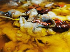 -雲蜀龙阁·金牌水煮鱼(方庄店)