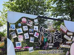 -荷兰花海