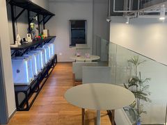 -dotcom coffee古点咖啡(致真大厦店)