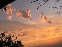-缙云山景区