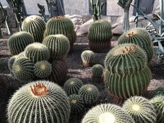 -北京植物园-展览温室