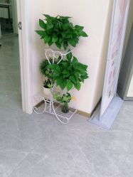 -莲姿娜半永久纹眉皮肤管理