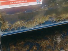 -阳澄湖大闸蟹·琼灵阁牌品牌连锁(吴中总店)