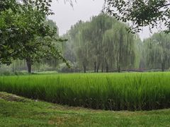 -北坞公园