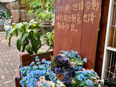 -万绿园