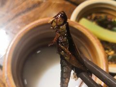 -亮欢寨酸汤鱼(沙冲路店)
