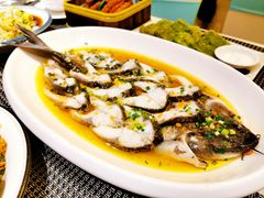 广式蒸天山鳕鱼-欣旺·迎宾楼·百年无锡菜