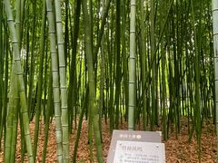 -汇龙潭