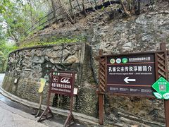 -西双版纳原始森林公园