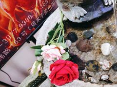 -全聚德(蓝山店)