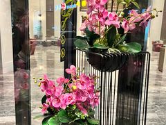 -北京东三环希尔顿逸林酒店