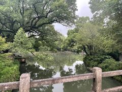 -西溪国家湿地公园