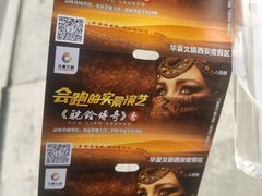 -《驼铃传奇》秀