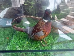 -房山世界地质公园博物馆