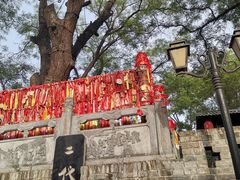 -大槐树寻根祭祖园