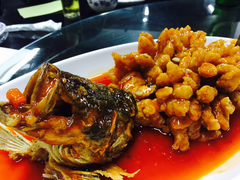 松鼠桂鱼-协和菜馆(凤凰街店)