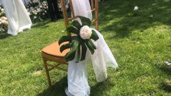 -保定金沙芝柏婚礼策划