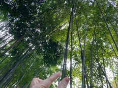 -成都杜甫草堂博物馆