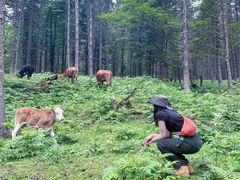 -硗碛藏寨·神木垒景区