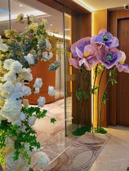 -杭州米兰柏羽医疗美容医院