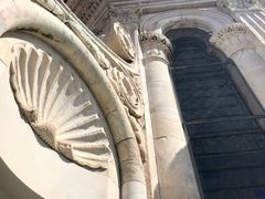 -圣母百花大教堂穹顶