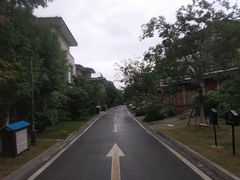 -田园东方蜜桃村的田野营地