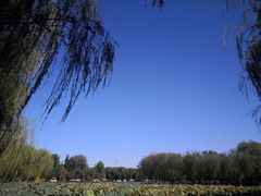 -廊坊市自然公园