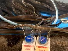 -郑庄脂渣海鲜楼(九水路店)