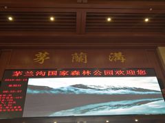 -茅兰沟国家森林公园