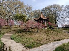 -河南省黄河迎宾馆