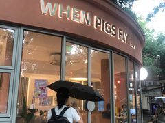 门面-WHEN PIGS FLY当猪飞