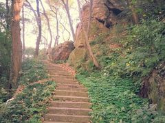 android_upload_pic-府山公园