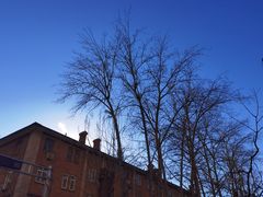 -百香林西点(西安门店)