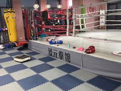 -臻元搏击格斗泰拳拳馆(港隆店)